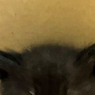 ラッキーさんのアイコン画像