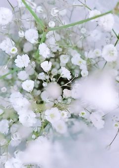 あざといお姫様、可愛いが過ぎます。