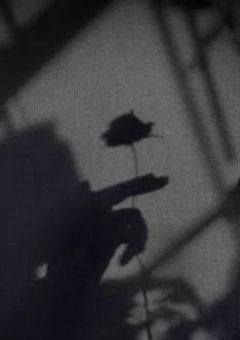 転校生 “ 最強殺し屋 ” 説 。