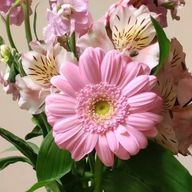 四月一日さんのアイコン画像