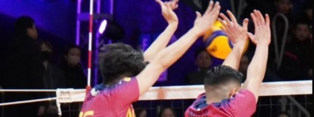 ぱるむさんの壁紙画像