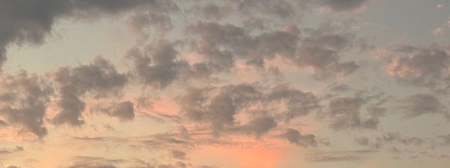 호노⋆𐙚 ˖ ࣪⋆さんの壁紙画像