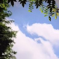 yutora-「男子学生」さんのアイコン画像