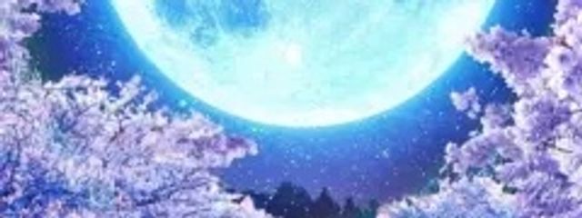 天宮　雨依さんの壁紙画像