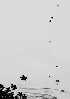 雑談🪄★
