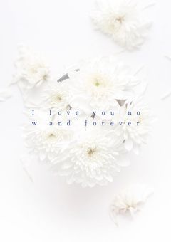 I love you now and forever🌻