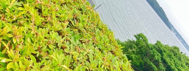 れなさんの壁紙画像