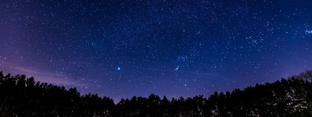 はるさんの壁紙画像