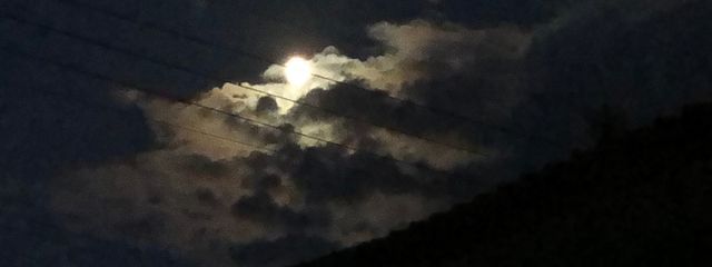 .さんの壁紙画像