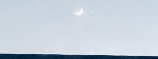 夜猫さんの壁紙画像