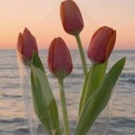 白玉もち子🍡🍙さんのアイコン画像