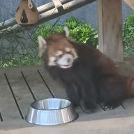 フカさんのアイコン画像
