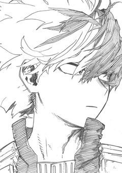 その猫は俺なんだが…？【轟焦凍】