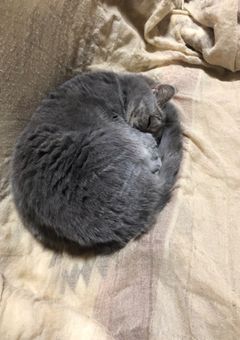 俺の師匠を捜そうの巻☆