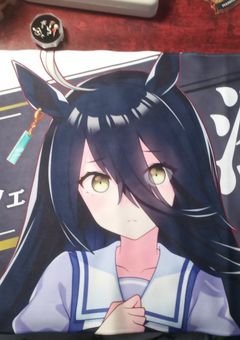 実写部屋