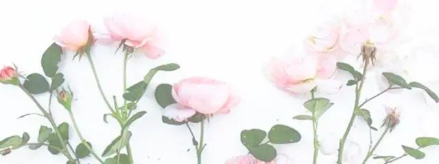 ひよ . *さんの壁紙画像