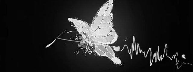   ぬ ぬさんの壁紙画像