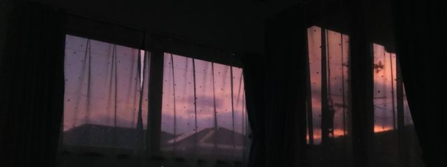 雨林さんの壁紙画像