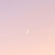 雨林さんのアイコン画像