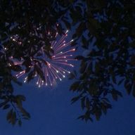 あやさんのアイコン画像