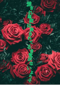 愛され悪魔は愛されている自覚がないようで