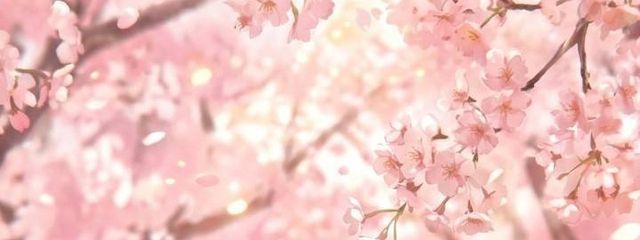 「李歌の母」(読み専)さんの壁紙画像