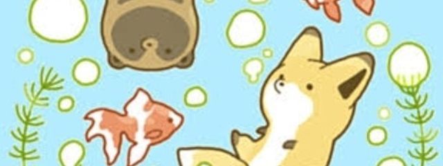 たぬきさんの壁紙画像