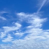 Yuuty0さんのアイコン画像