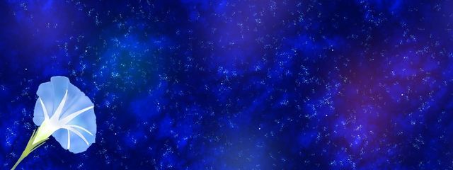 如月 澪桜 さんの壁紙画像