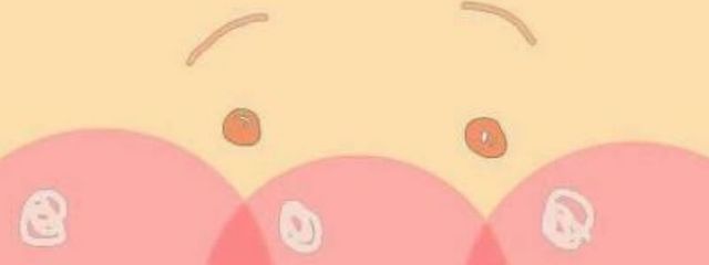 綾瀬【あやせ】🐹❤さんの壁紙画像