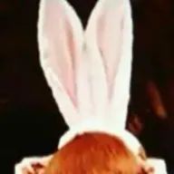 ネコ (旧とも)さんのアイコン画像