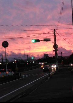 大丈夫、だって貴方を愛しているから
