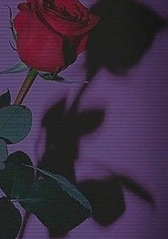 美しい君は人を殺す