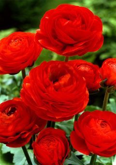 新世界創生の鍵