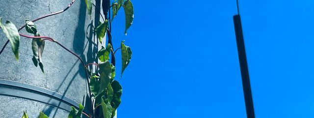 ゆいぴーさんの壁紙画像