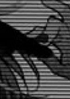 よしよしいいこだね