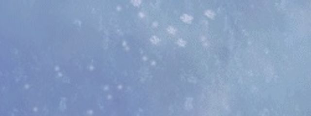 ウソコさんの壁紙画像