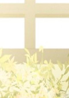 え?声優だけど何ですか?
