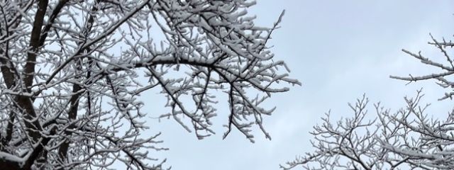 ‪❤︎‬‪‪‪‪❤︎‬さんの壁紙画像