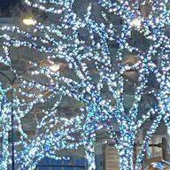 kさんのアイコン画像