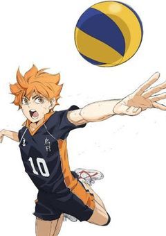 バレーで遊んでただけですが？！