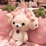  ︎︎ひめめたろうさんのアイコン画像