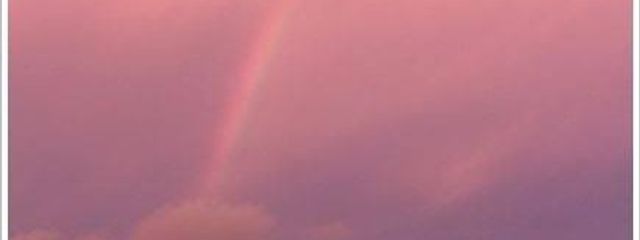 ポメさんの壁紙画像