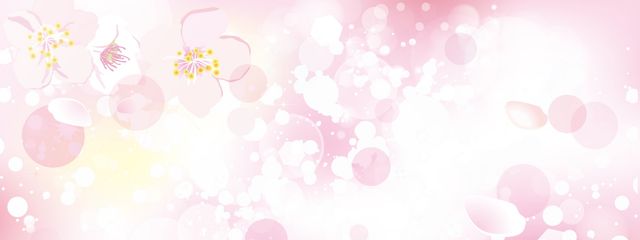 さくら@文豪の花嫁さんの壁紙画像