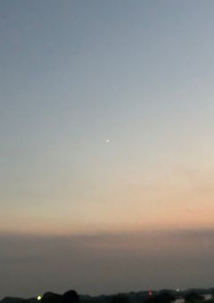 僕の生きている価値....