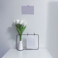 そら🍋🐬さんのアイコン画像