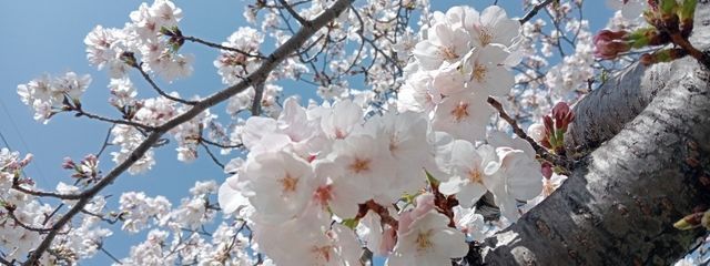 修司さんの壁紙画像