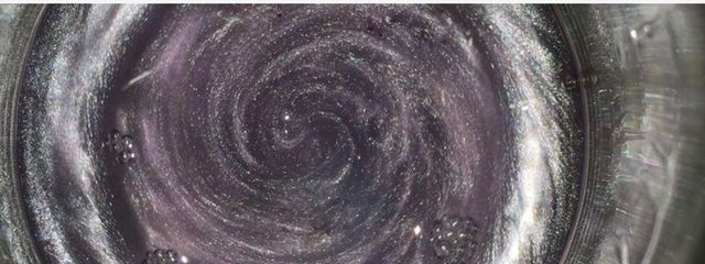 #____ポン酢さんの壁紙画像