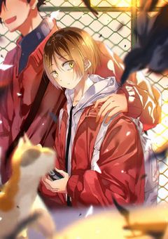 研磨の彼女は今日も可愛い