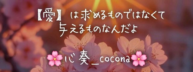 【愛だけを残せ〜🌸心奏_cocona🌸】さんの壁紙画像